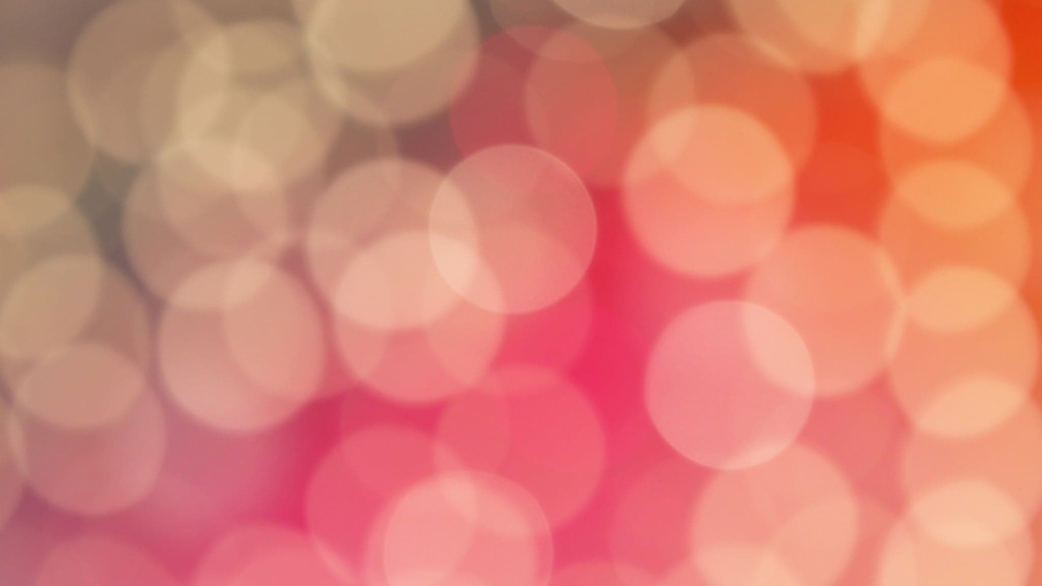 Ride and Dine with Us! Thriller Speedboat Tours